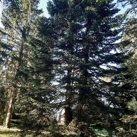 Grande Maison Familiale Tortebesse